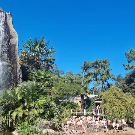 Charmante Maison Proche * Royan